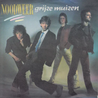 Grijze muizen / Schervengeluk