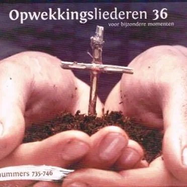 Opwekkingsliederen 36 by Stichting Opwekking - album cover