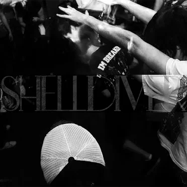 Demo 2011 by Shelldiver - album cover
