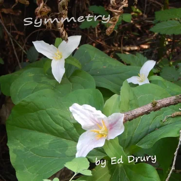 Symmetry by Ed Drury - album cover