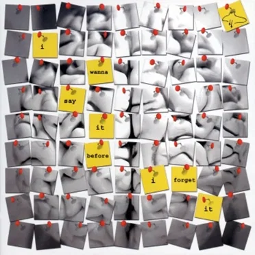 I Wanna Say It Before I Forget It by The Clay Pigeons - album cover
