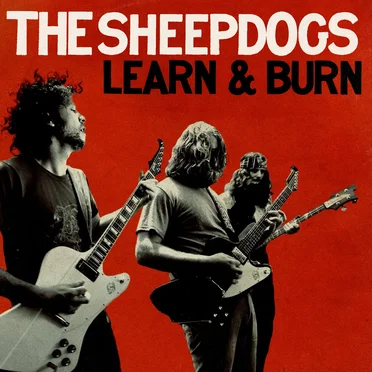 Learn & Burn
