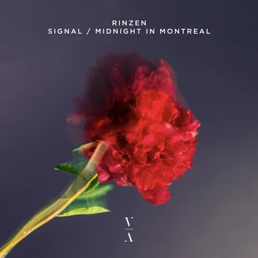 Signal / Midnight in Montreal