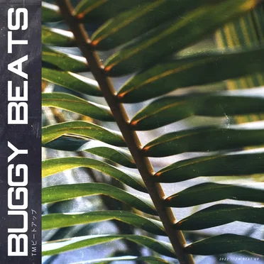 TM beat up by buggy beats - album cover