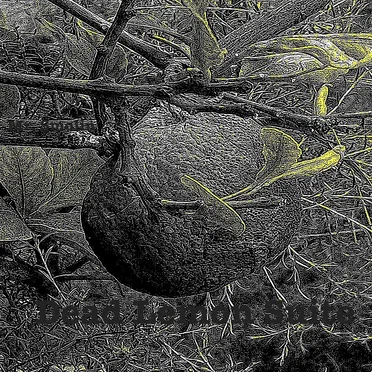 Dead Lemon Suite