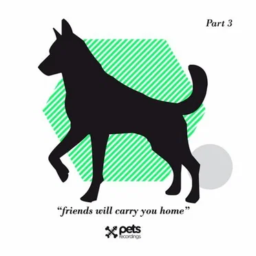 Friends Will Carry You Home, Part 3 by Various Artists - album cover
