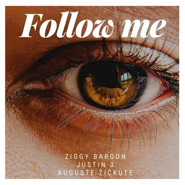 Follow Me by Ziggy Baroon - album cover