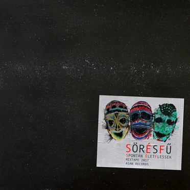 Spontán ÉletFlessek by Sör és Fű - album cover