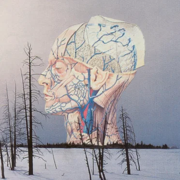 Songs for a Dead Pilot / Christmas