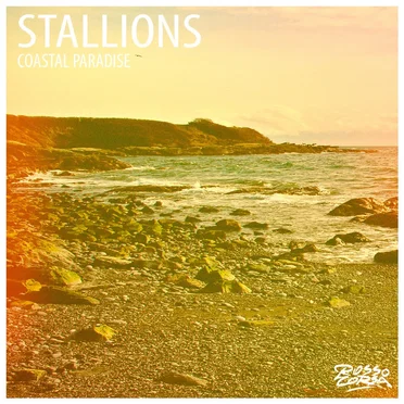 Stallions