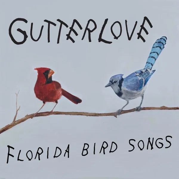 Florida Bird Songs