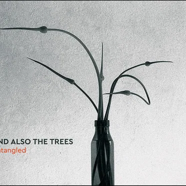 Untangled by And Also the Trees - album cover