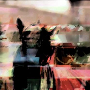 Horse Digital Noise
