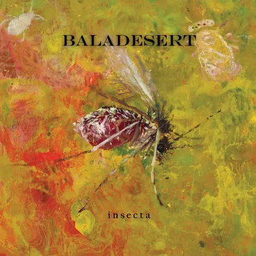 insecta