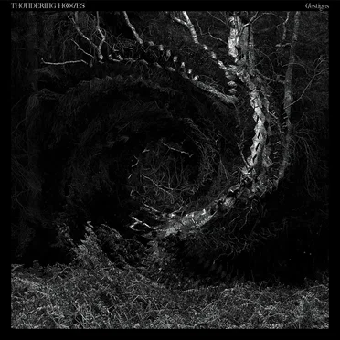 Vestiges by Thundering Hooves - album cover
