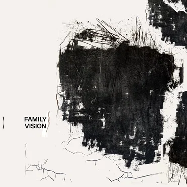 Family Vision by Family Vision - album cover