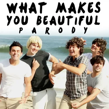 What Makes You Beautiful Parody by Bart Baker - album cover
