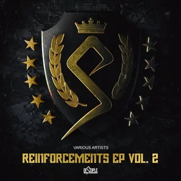 Reinforcements, Vol. 2 by Various Artists - album cover