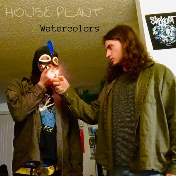 House Plant