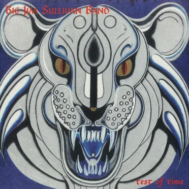 Test Of Time by Big Jim Sullivan Band - album cover