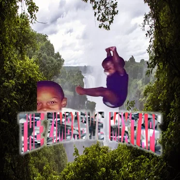 THE ZIMBABWE TAPE by starble - album cover