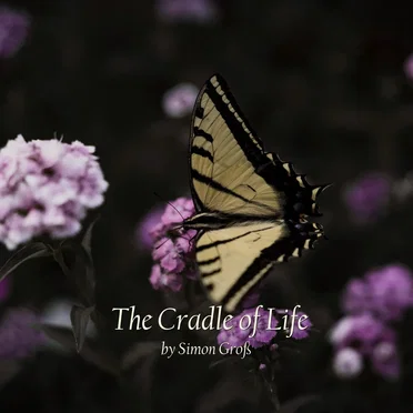 The Cradle of Life