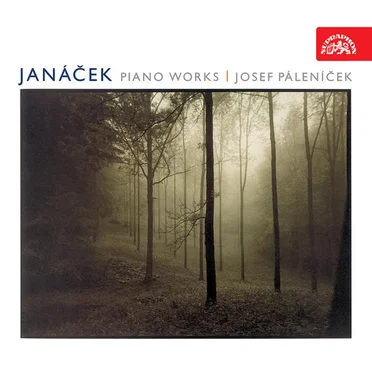 On an Overgrown Path, 1 X. 1905 / In the Mists / Concertino, Capriccio