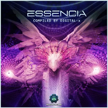 Essencia by Various Artists - album cover