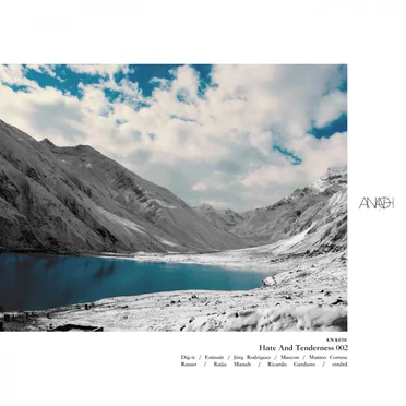 Hate & Tenderness 002 by Various Artists - album cover