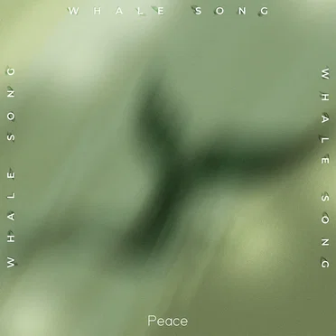 Whale Song