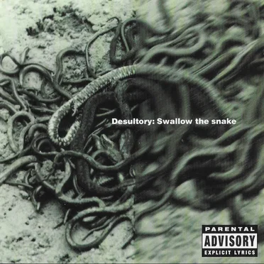 Swallow the Snake by Desultory - album cover