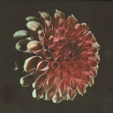 Unfolding