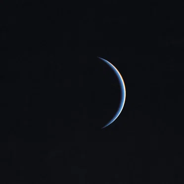 The Whole Earth