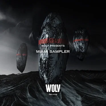 WOLV × Miami Sampler by Various Artists - album cover