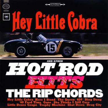 Hey Little Cobra