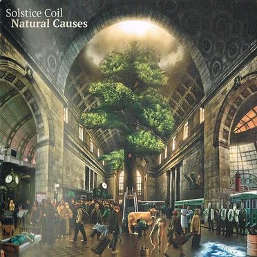 Natural Causes by Solstice Coil - album cover