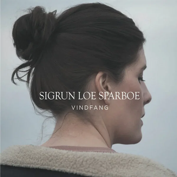 Vindfang