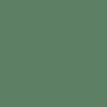 5e8061