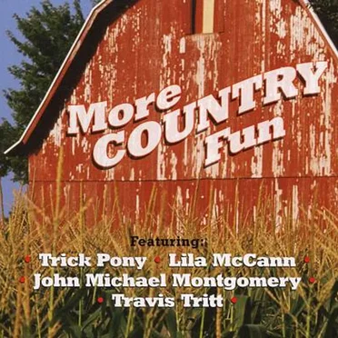 More Country Fun by Various Artists - album cover