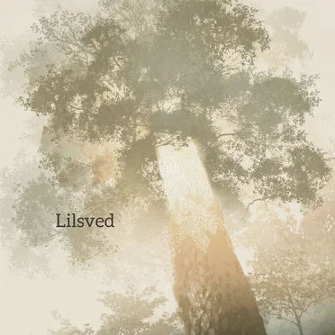 Lilsved by Emotional thistle - album cover