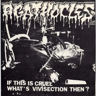 If This Is Cruel What's Vivisection Then?