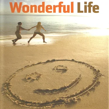 Wonderful Life by Various Artists - album cover