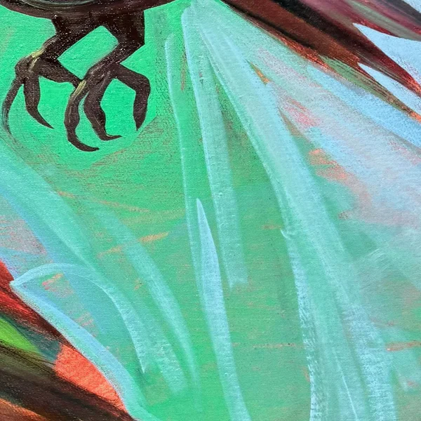 did you look up today?