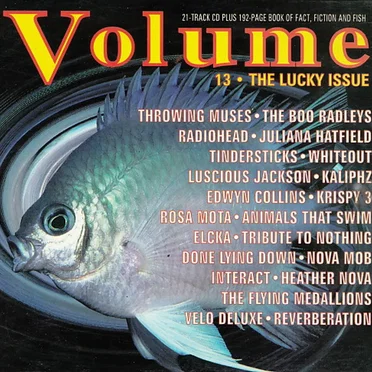 Volume 13: The Lucky Issue by Various Artists - album cover