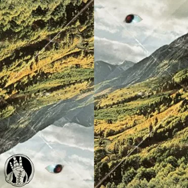 Woodsist Remixed by Various Artists - album cover
