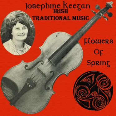 Irish Traditional Music: Reels, Jigs, Hornpipes