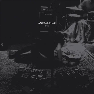 EP 2 by Animal Flag - album cover