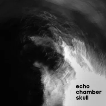 Echo Chamber Skull by bleak - album cover