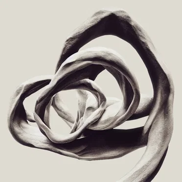 Infinita Series