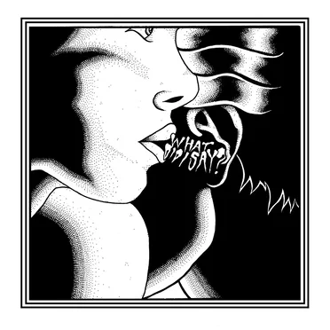 What Did I Say? by New Gods - album cover